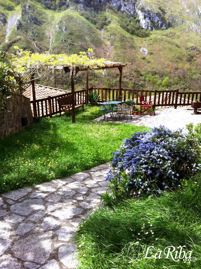 Casa de camp La Riba *